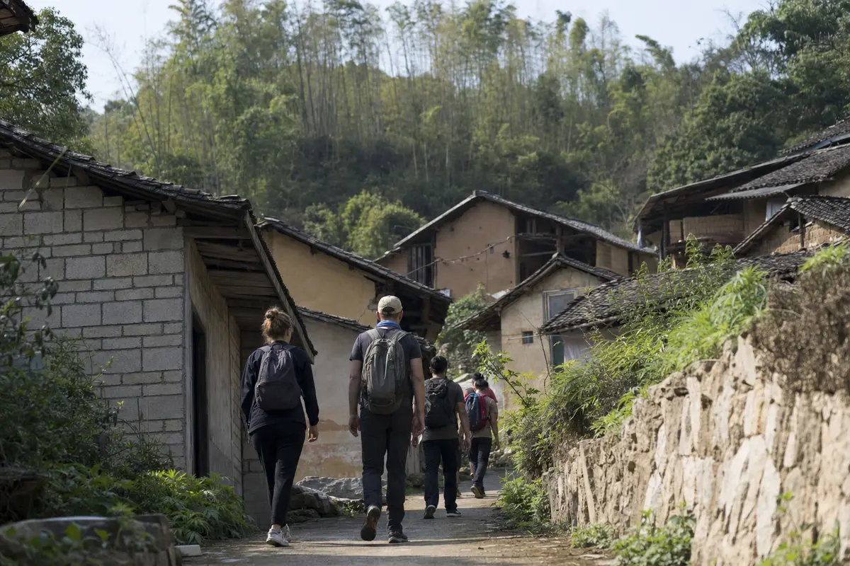 Four walkers with day packs climbing a village lane between old houses toward bamboo hills