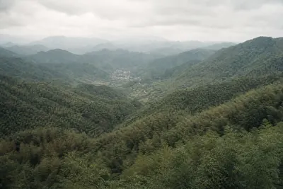 Layered bamboo covered ridges above a small valley village, seen from a high viewpoint under cloud