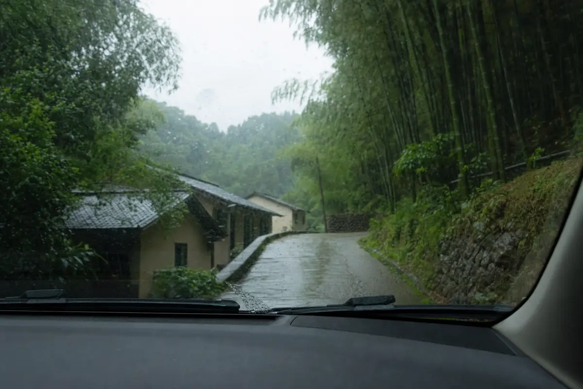 A rural road climbing between bamboo seen through a rain flecked windscreen