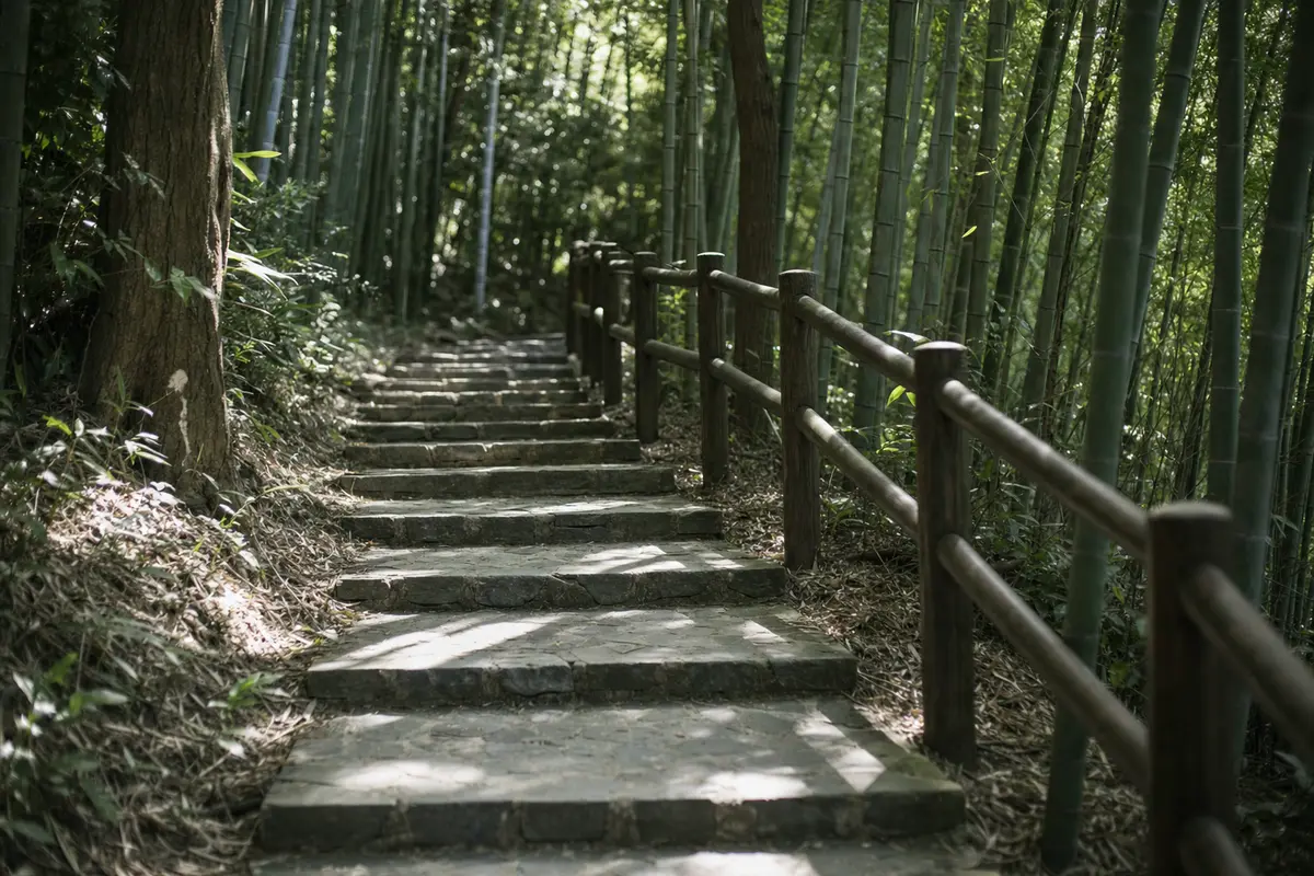 A stone stepped path climbing through bamboo in late morning light