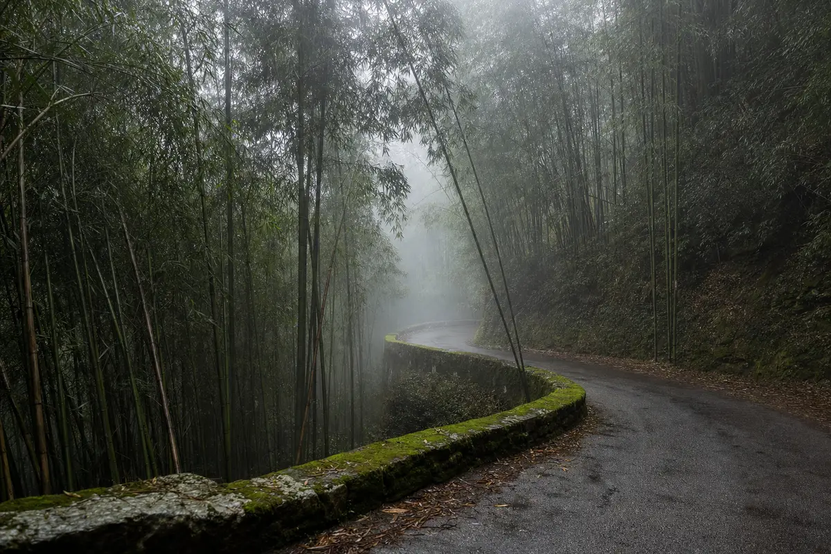 A narrow mountain lane bending into mist between dense bamboo