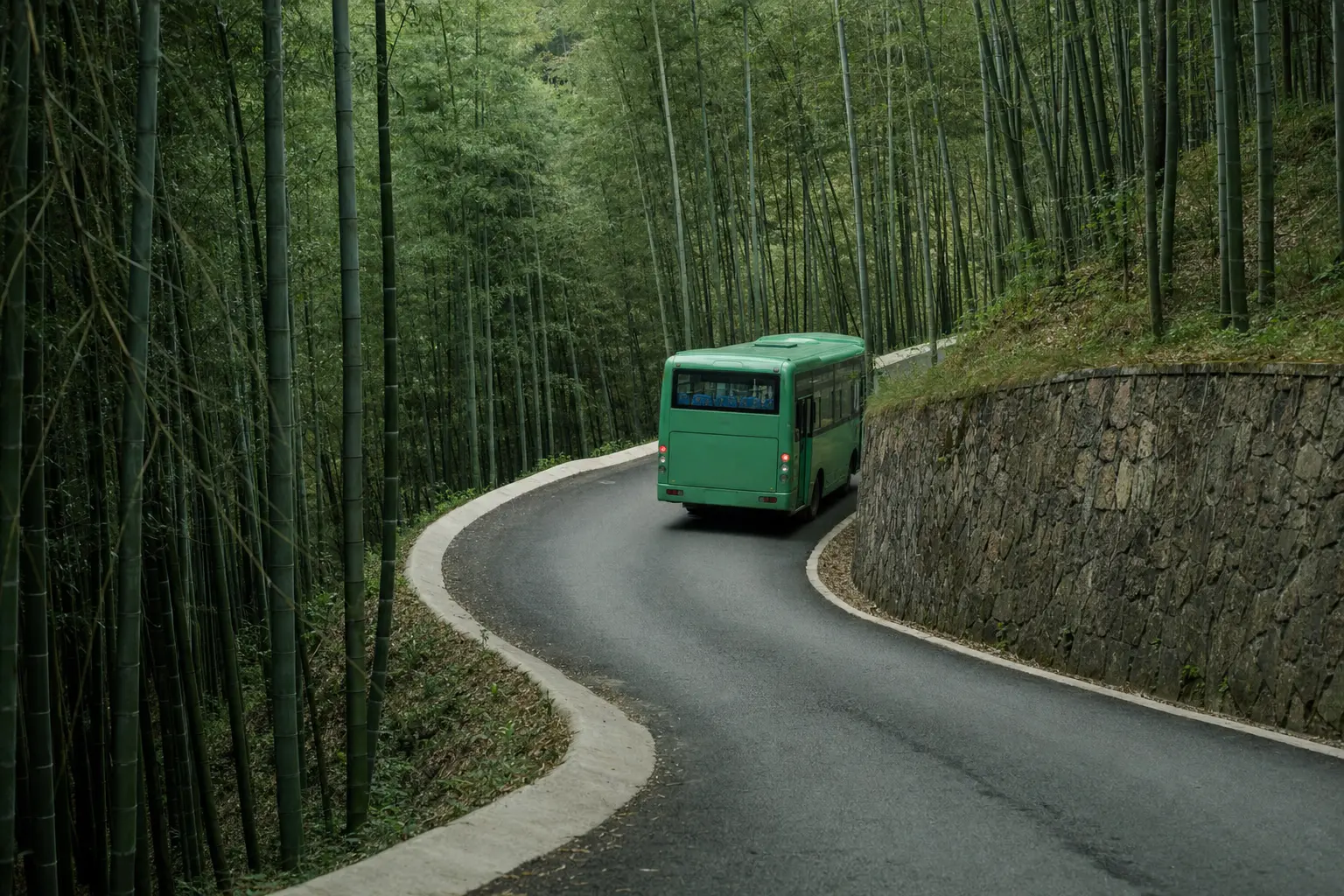 A small green shuttle bus rounding a bend on a road through dense bamboo forest