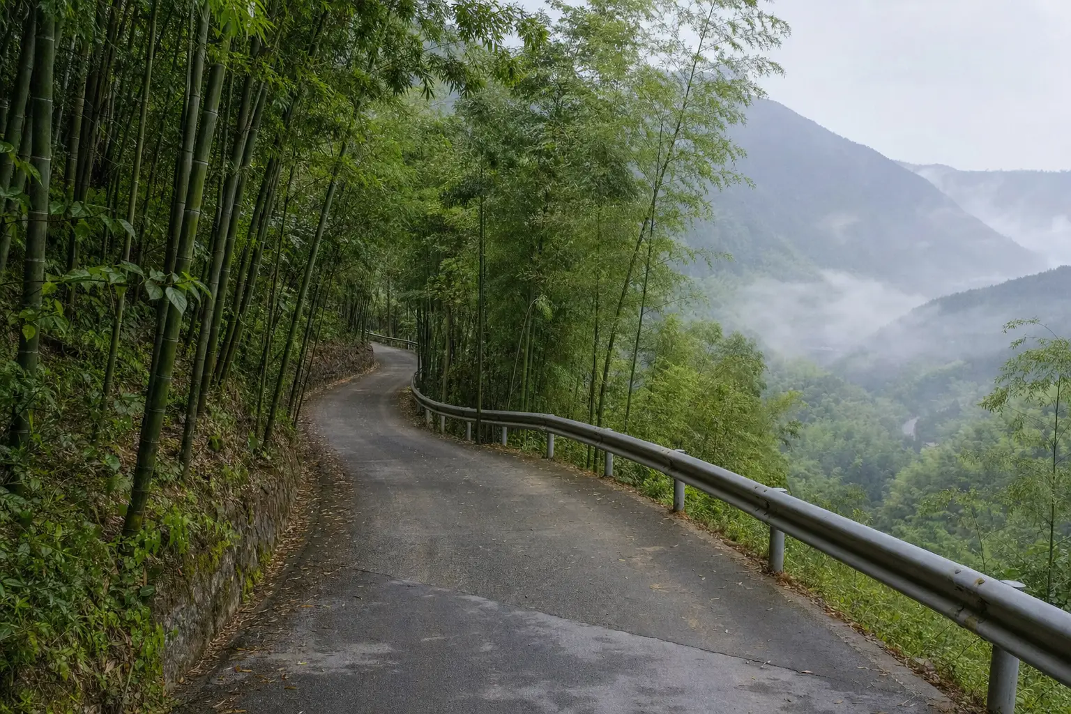 A narrow mountain road curving up through bamboo forest with a crash barrier above the valley
