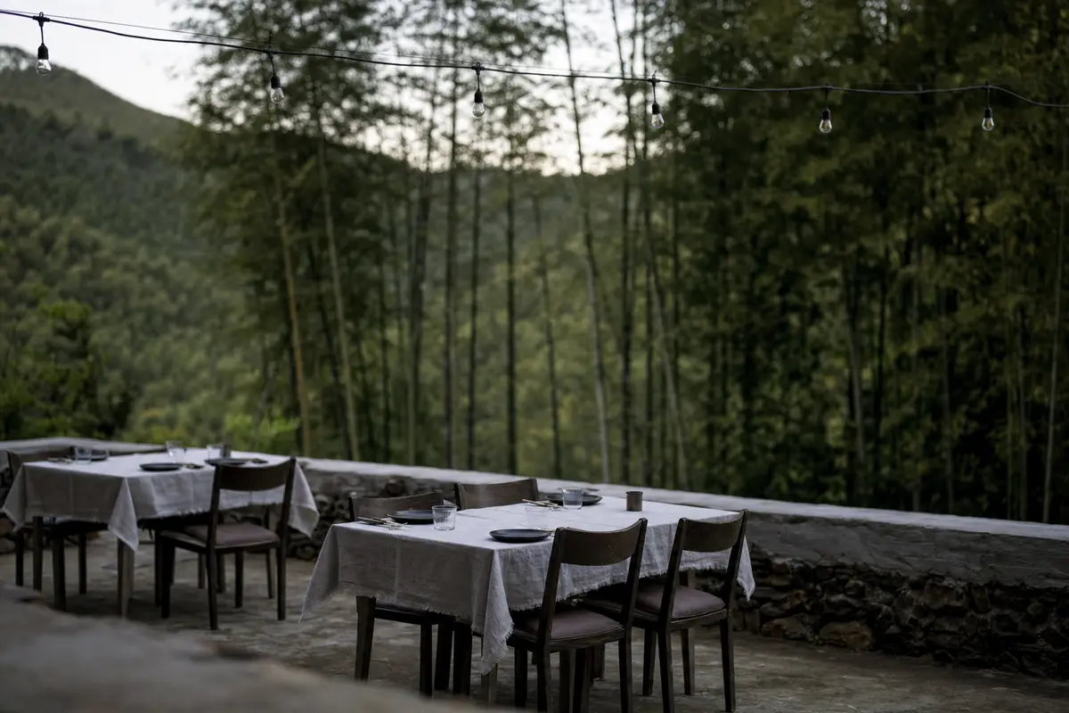 A guesthouse terrace laid with tables for a private dinner above bamboo forest