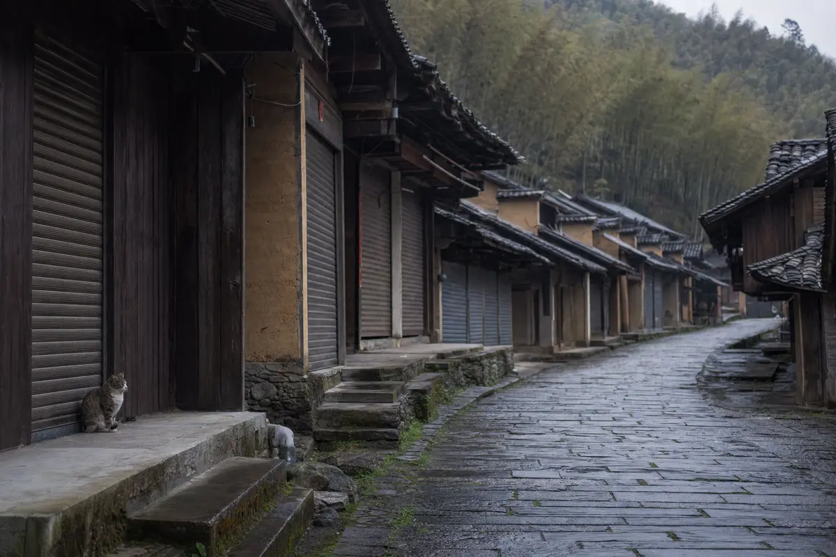 An empty village lane with closed shutters and wet stone paving