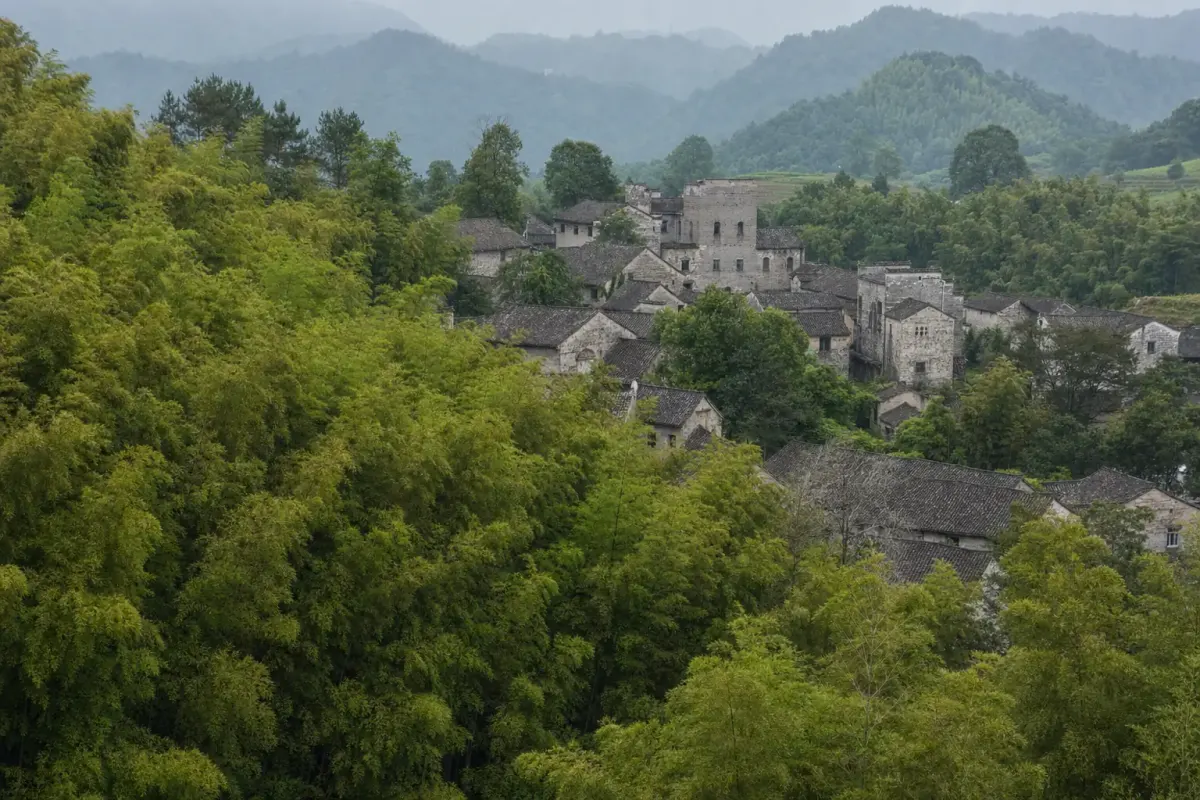 Bamboo ridge above the old Moganshan settlement