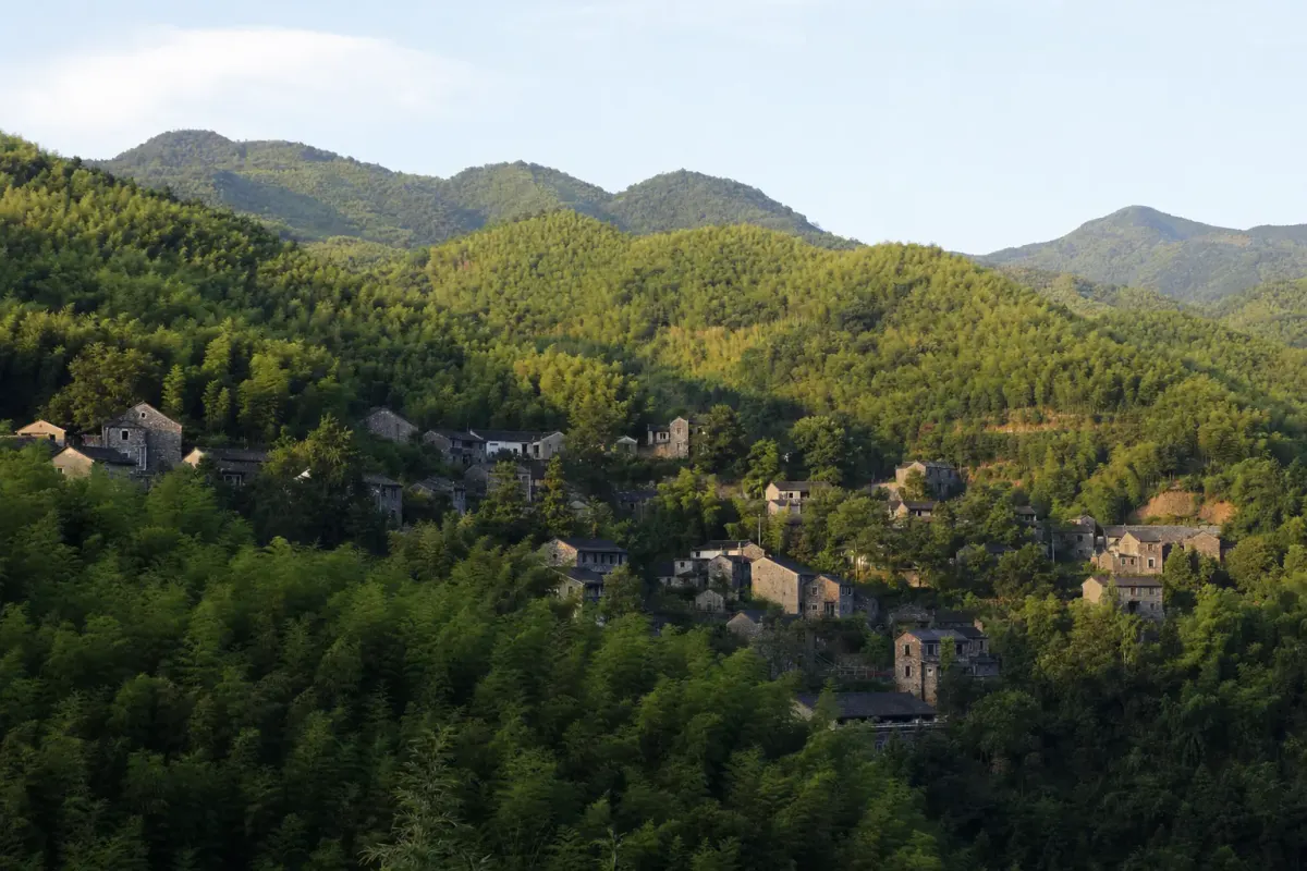 Bamboo-covered ridge above the old Moganshan settlement
