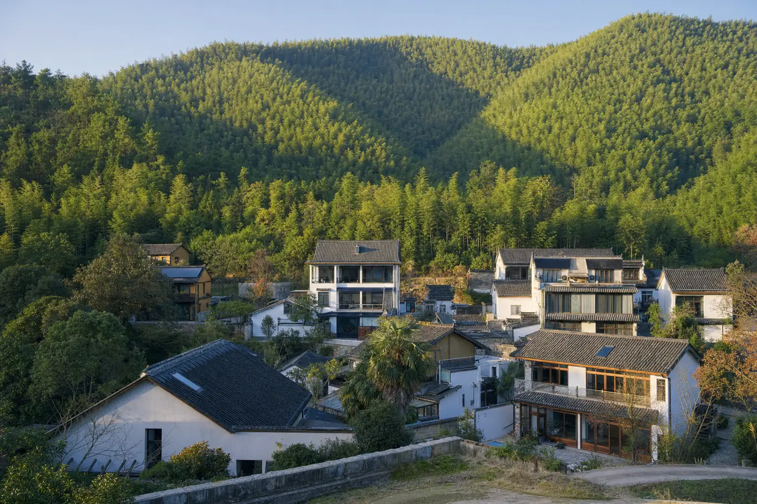 Village guesthouses below the bamboo slopes of Moganshan, the trade that grew from the first foreign-run farmstay