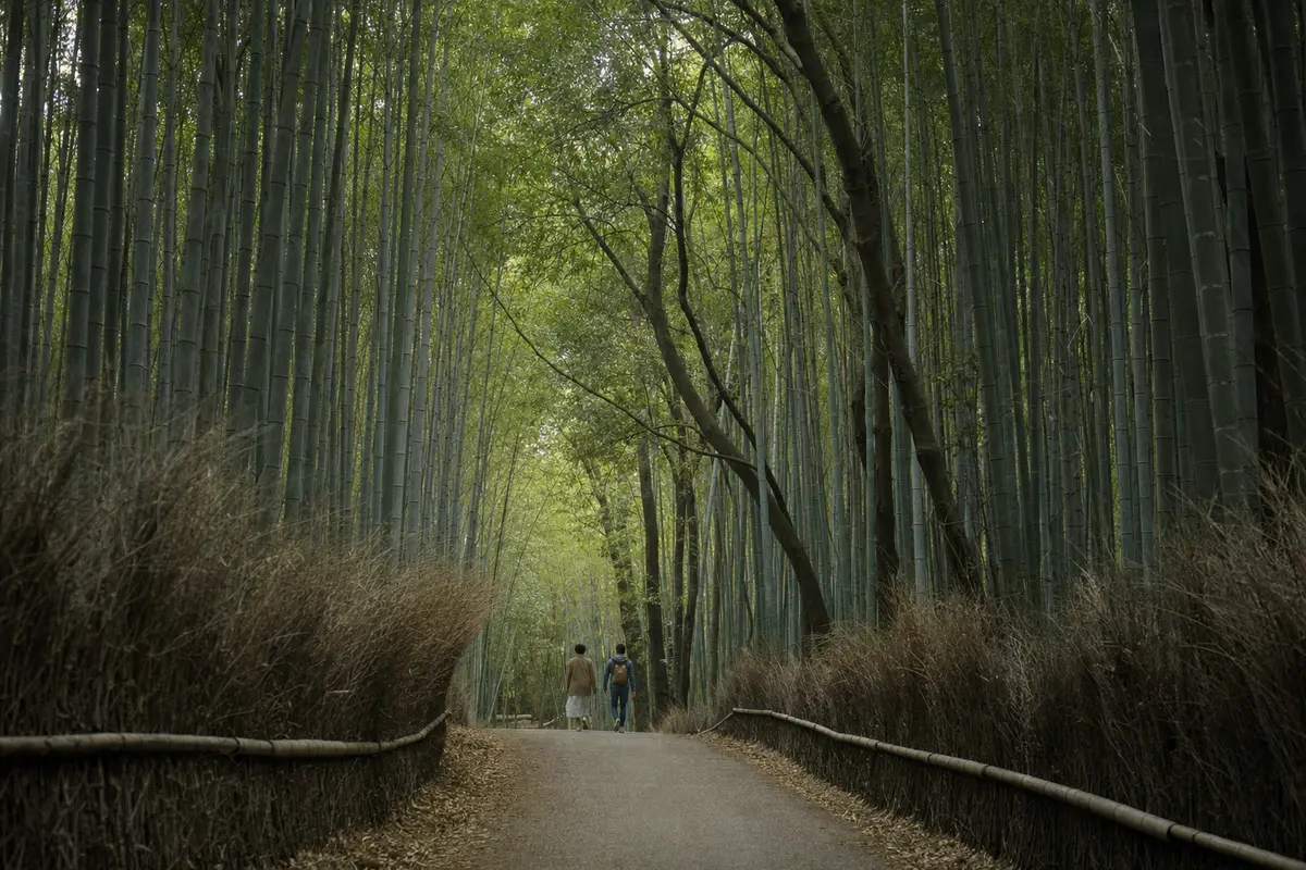 Two people walking slowly along a bamboo lined path seen from a distance