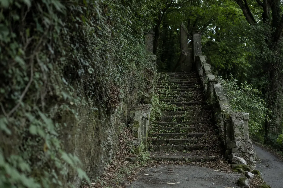 An overgrown stone staircase with a broken balustrade climbing to a rusted open gate