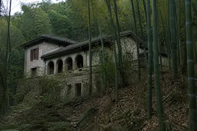 A shuttered stone villa with an arched veranda standing among bamboo on the hill station slope