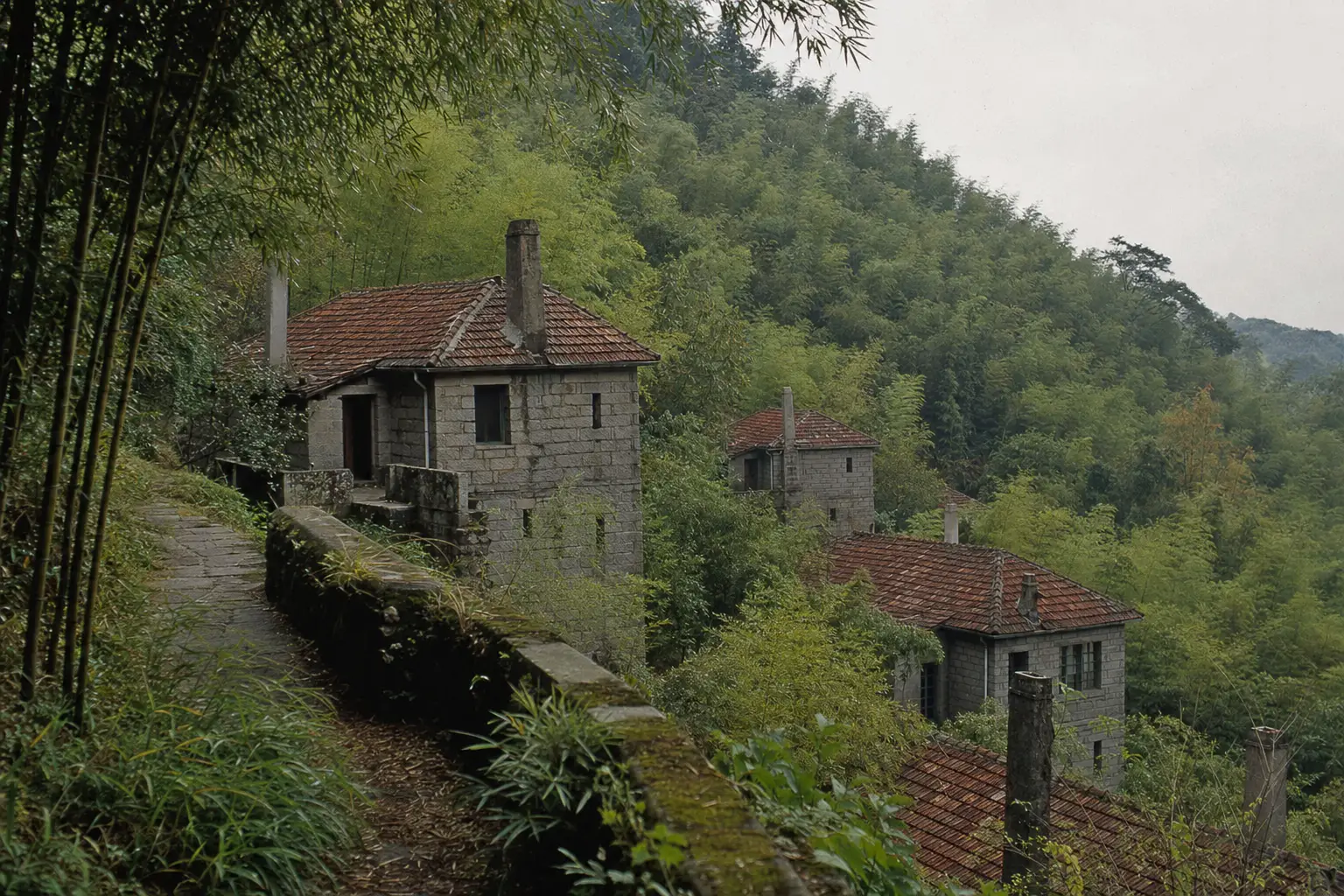 Stone summer houses with tiled roofs stepping down a bamboo covered slope at Moganshan