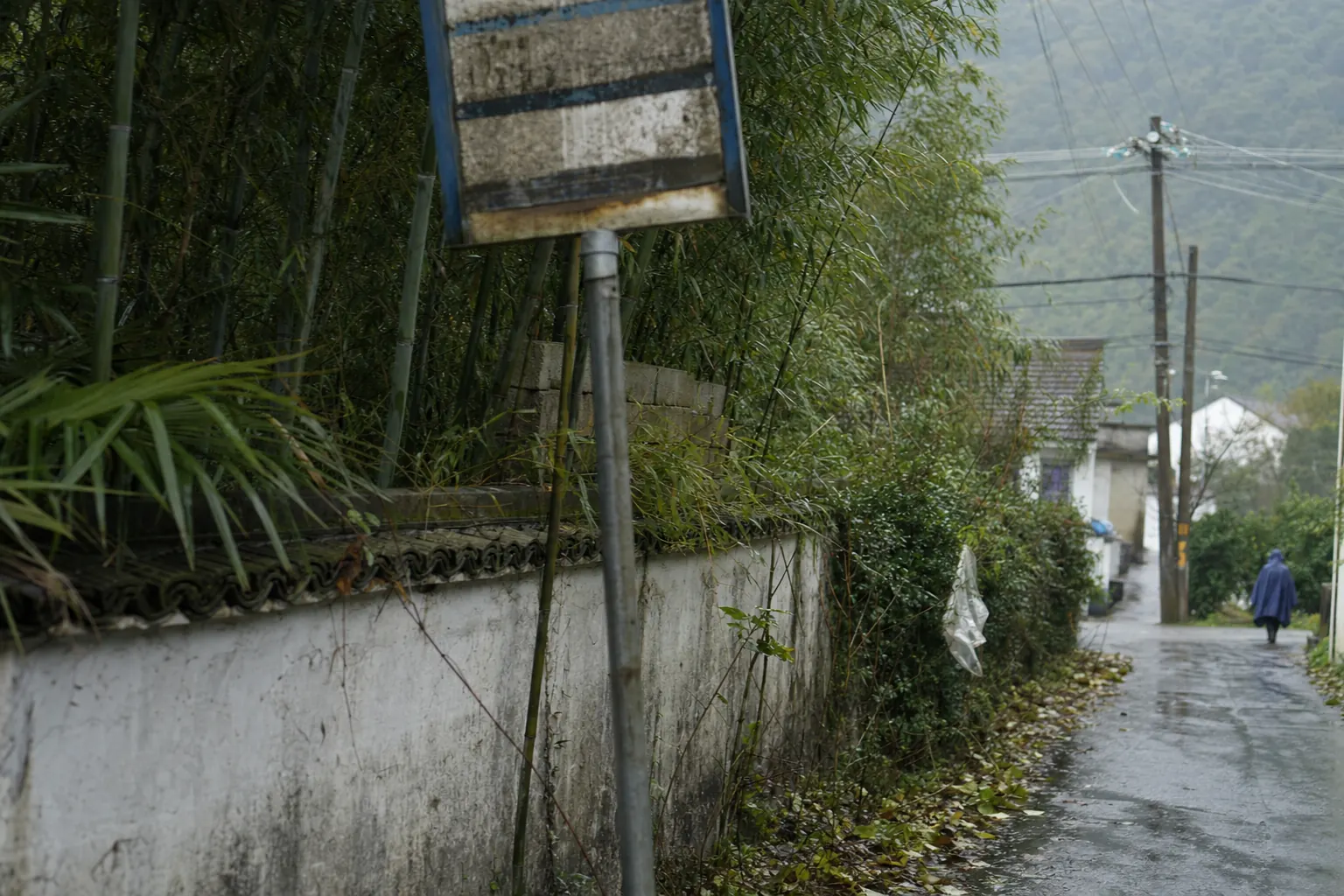 A small bus stop sign on a village lane with a hand written route list, bamboo behind it and a wet road