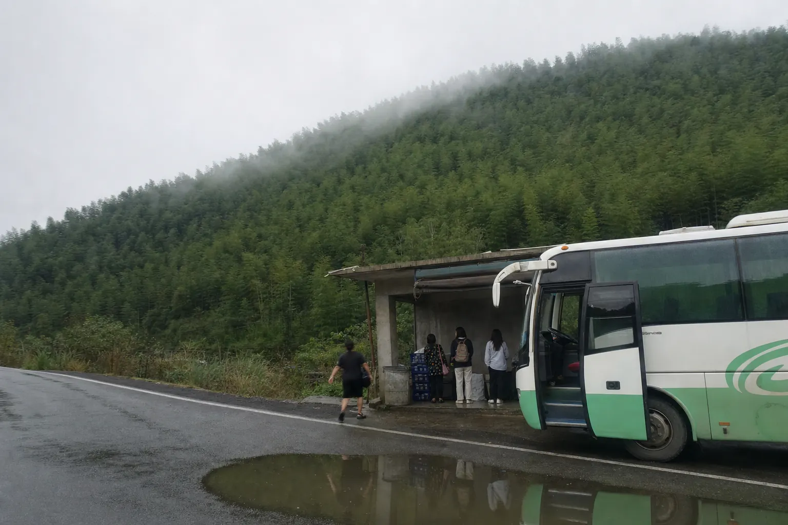 A coach with its door open at a roadside shelter below a bamboo slope, a wet road in front and cloud sitting on the ridge