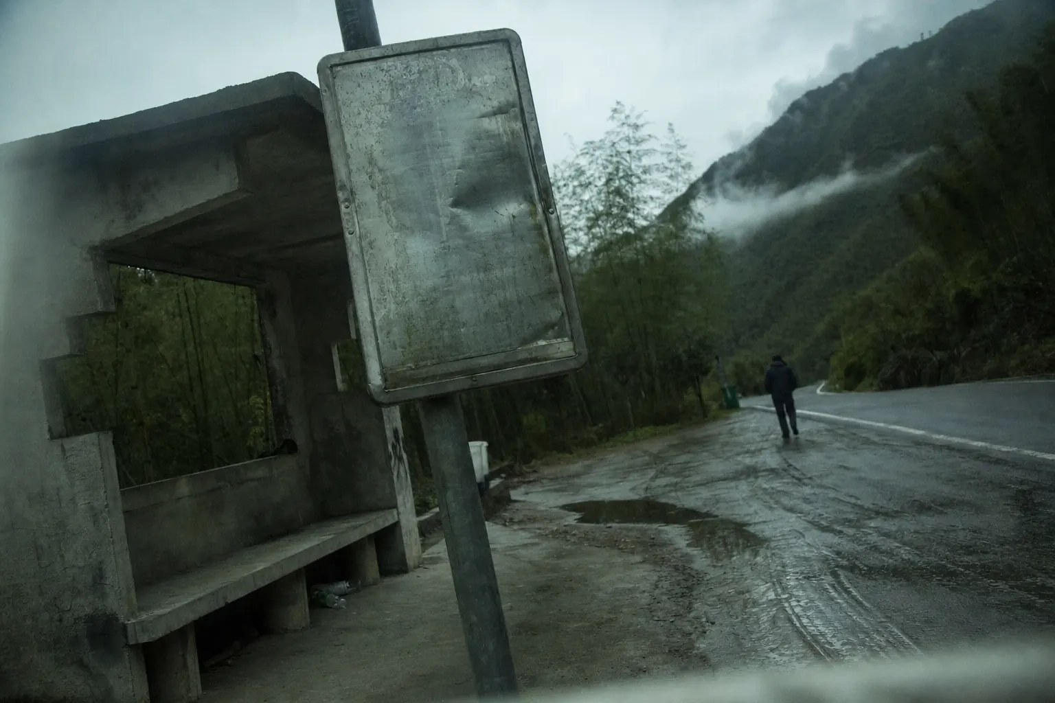A roadside timetable board beside a bus shelter with cloud sitting low on a bamboo ridge behind it