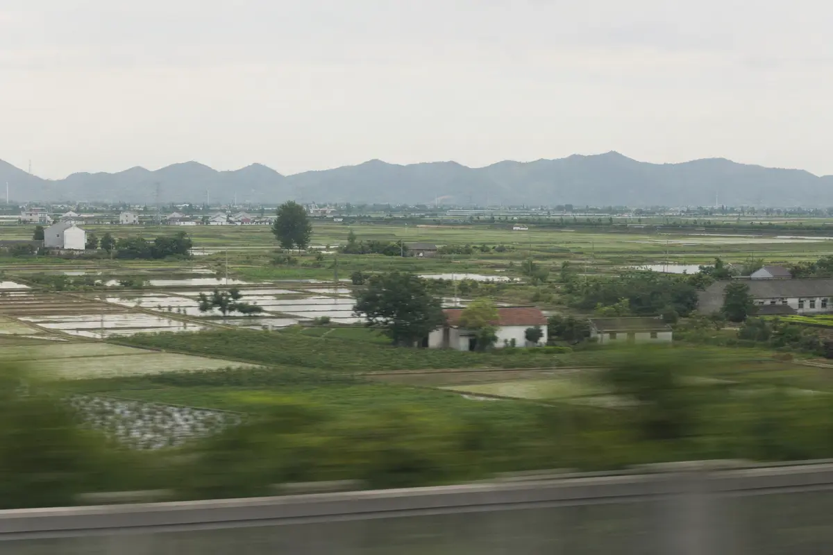 Flat delta farmland with distant green hills seen from a train window