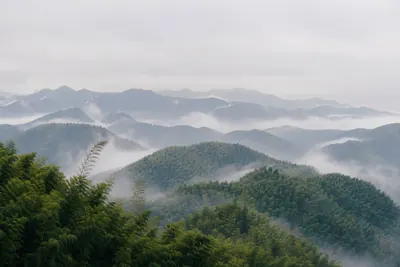 Bamboo covered ridges rolling away north of Hangzhou under a low morning haze