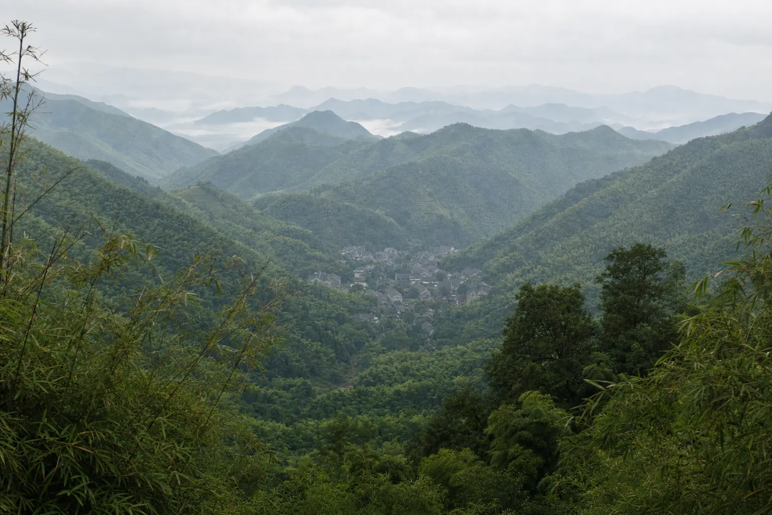 Bamboo covered ridges above a village of grey tiled roofs in the valley at Moganshan