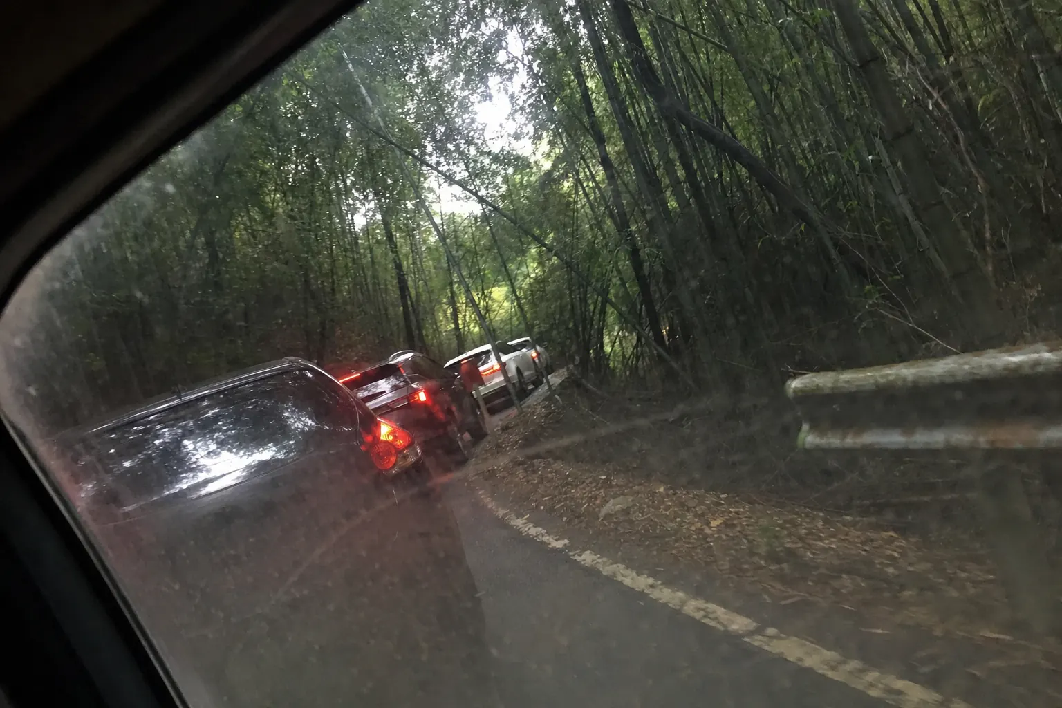Cars nose to tail on a narrow tarmac road with bamboo pressing in on both sides, shot handheld through a dirty side window