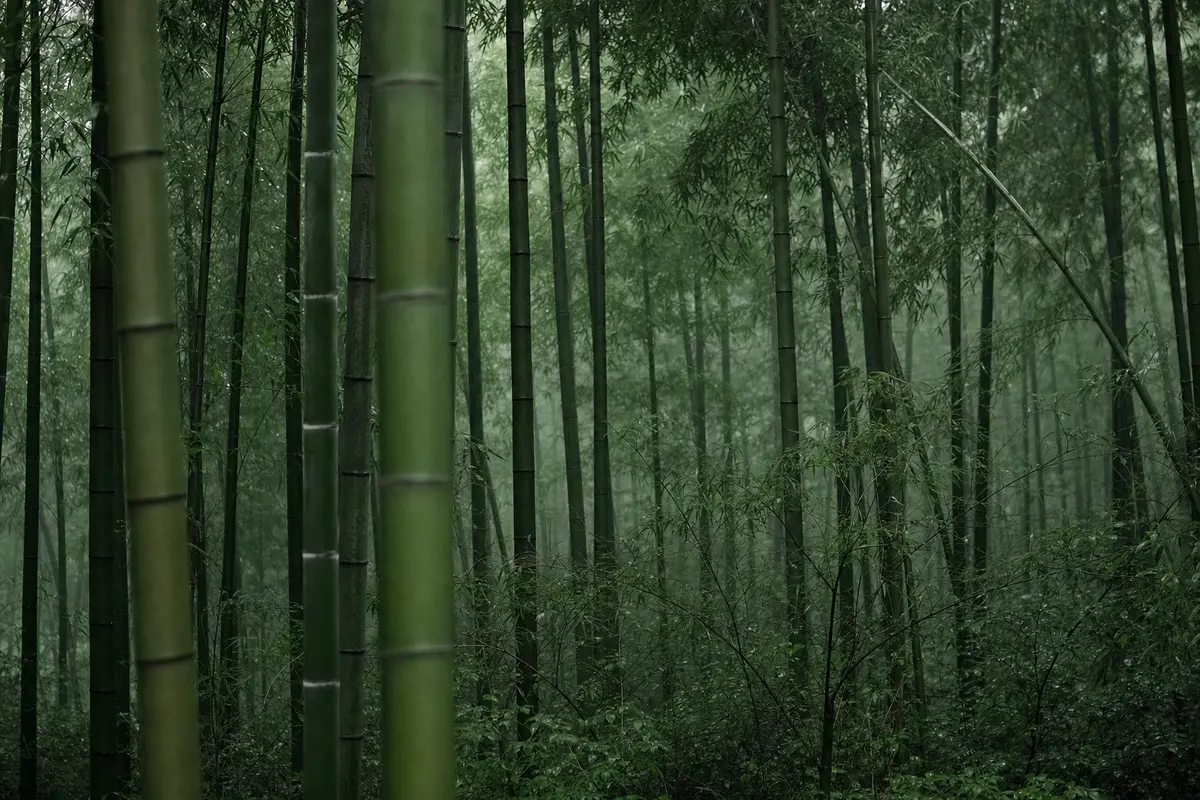 A quiet bamboo forest interior with no path and no people