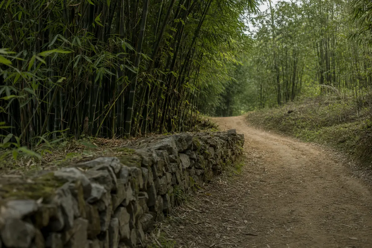A path leaving a village and climbing into bamboo with no gate or barrier