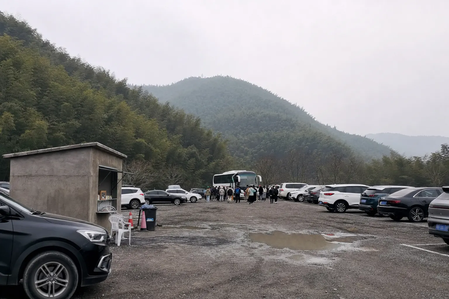 Rows of parked cars on a gravel lot below a hillside of bamboo, a coach with its door open and a low hut with a hatch