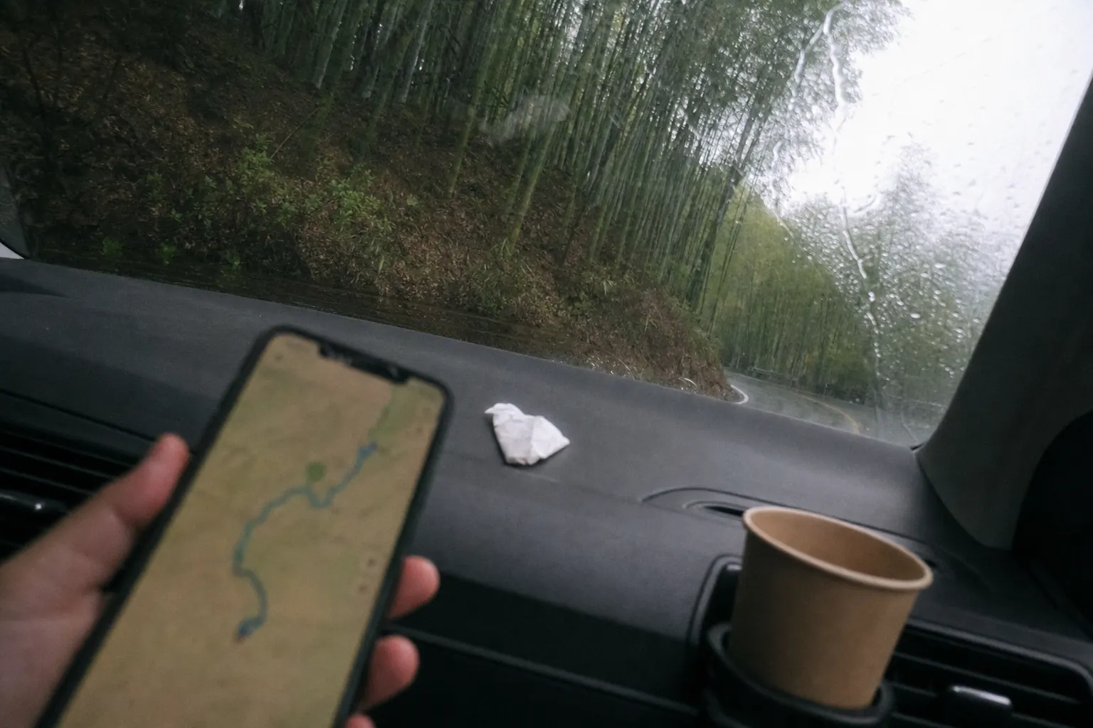 A hand holding a phone with a map app open, blurred, in front of a windscreen with rain on it and a bamboo slope beyond
