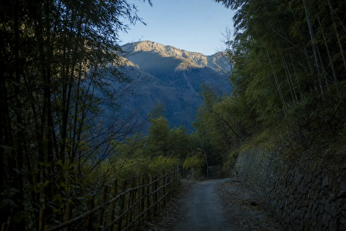 A mountain lane in blue shadow while the upper slopes stay lit in November light