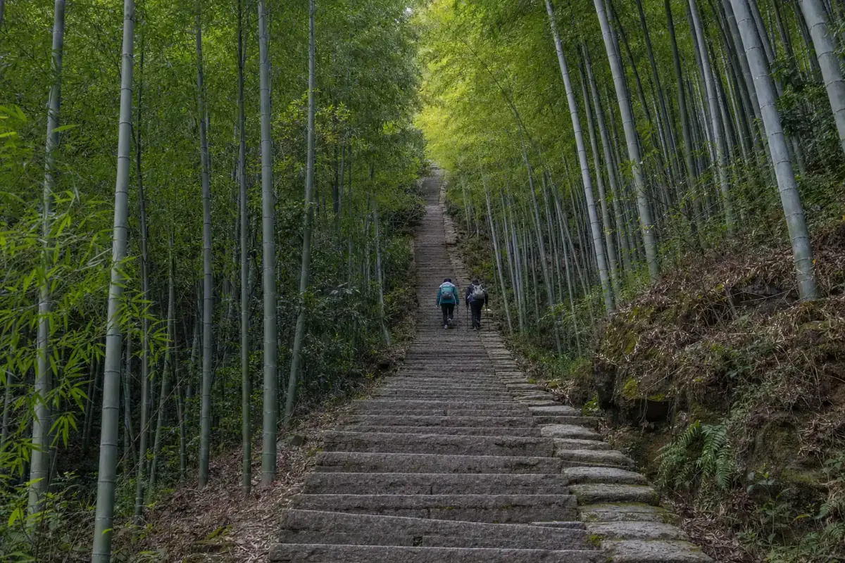 The stepped path climbing toward Sword Pond, seen from below, with the full flight visible