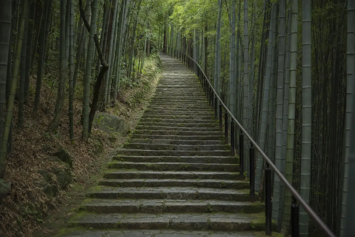 A stone stepped path with a handrail climbing steeply through bamboo
