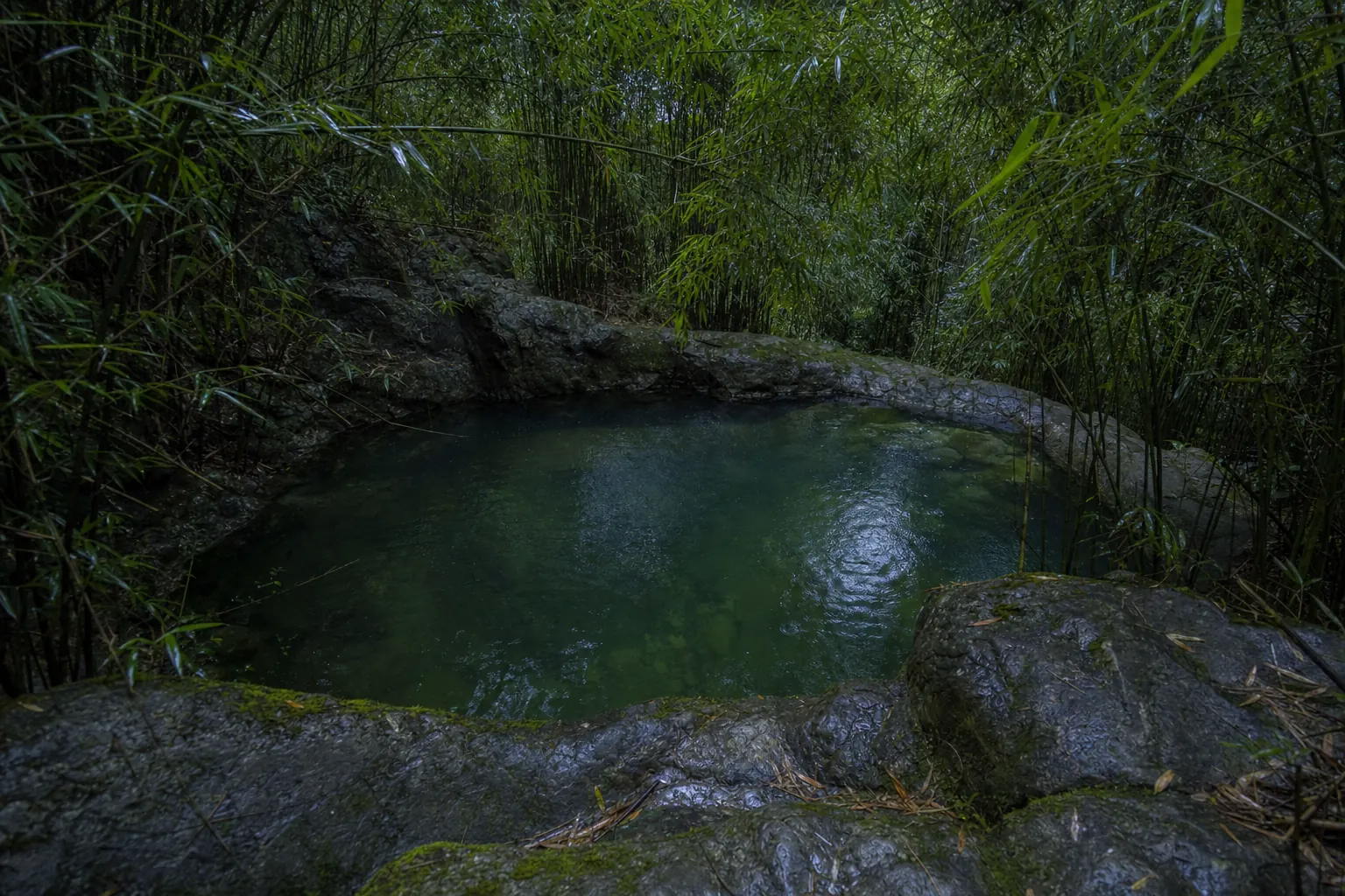 Still green water in the stone basin of Sword Pond at Moganshan, with bamboo closing in overhead