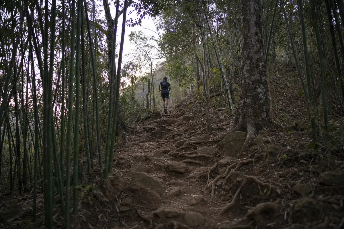 A steep rooted forest trail climbing a mountain shoulder with a runner far ahead