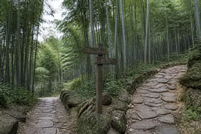 A stone path junction under bamboo with a wooden signpost pointing towards the villas
