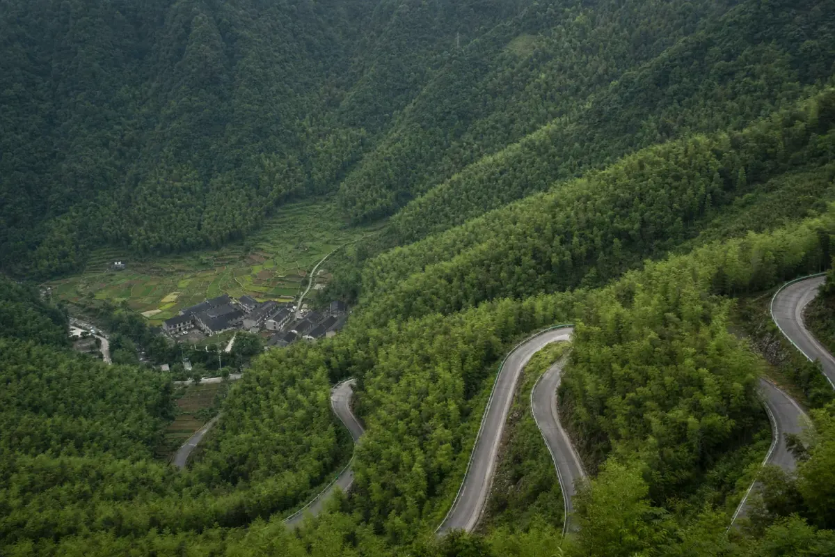 The approach road climbing toward Moganshan through bamboo, with a village visible on the valley floor below