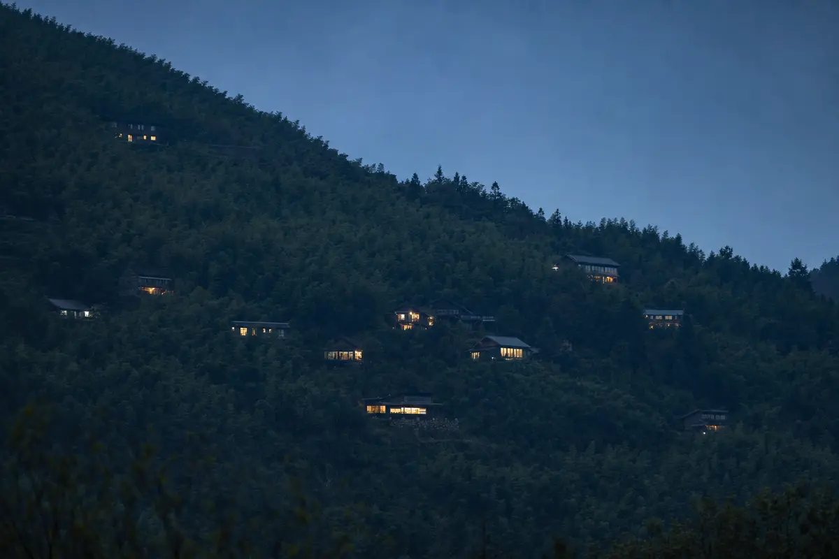 Lit windows of a dozen scattered properties among dark bamboo at dusk