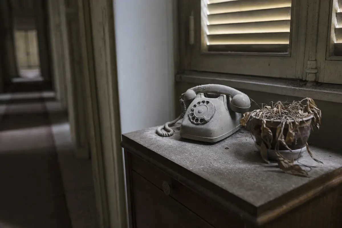 An old rotary telephone and a dead plant on a side table in a dim hotel hallway