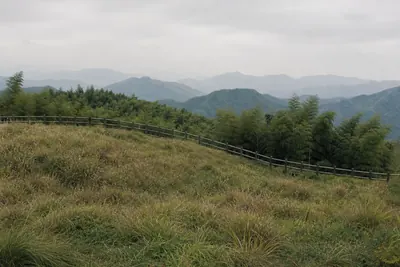 Open rough grass on a high ridge edged by bamboo, with layered hills fading beyond