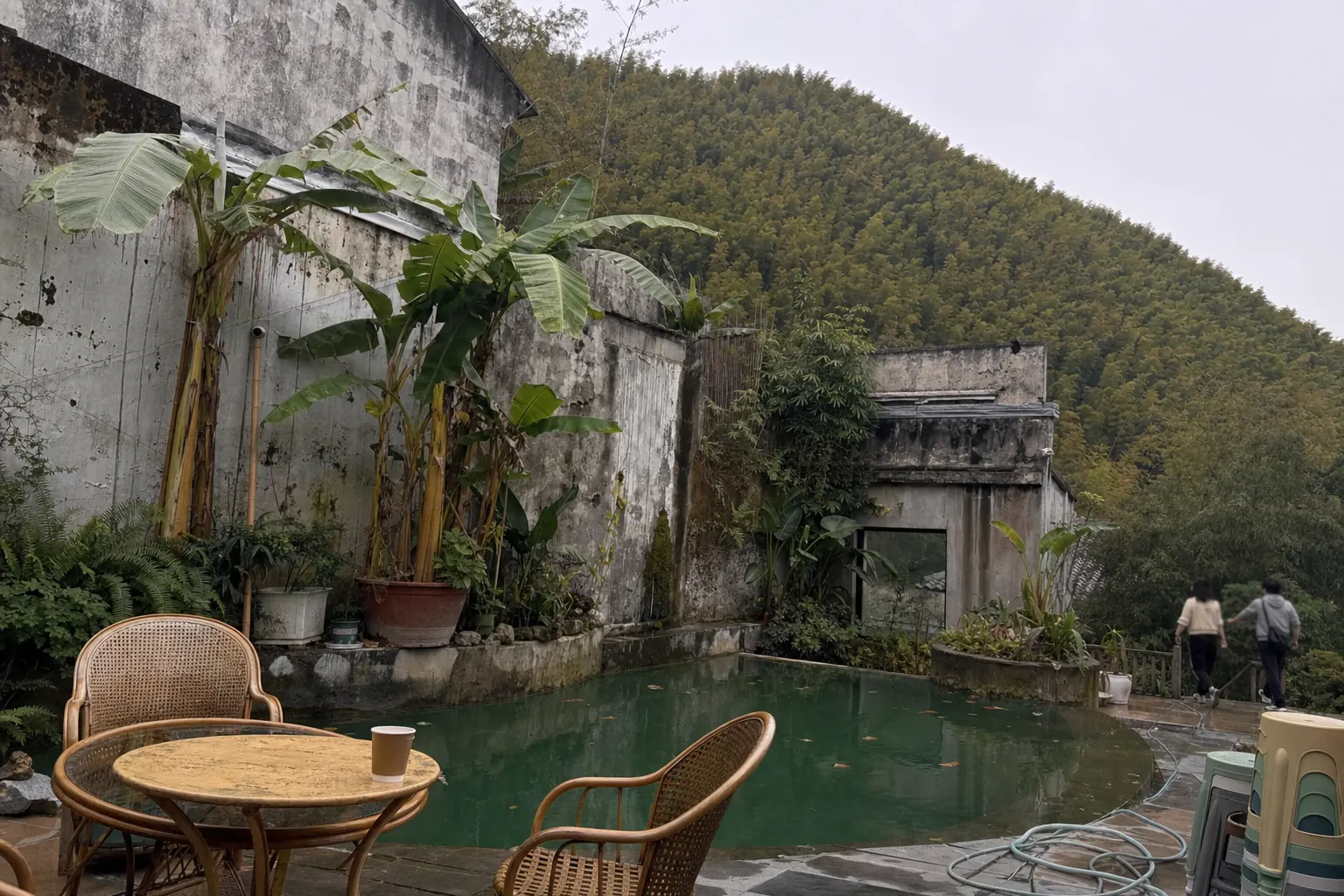 A green pool beside stained concrete walls lined with banana plants and ferns, rattan chairs and a paper coffee cup on a table in the foreground, two people walking away in the distance below a bamboo hillside