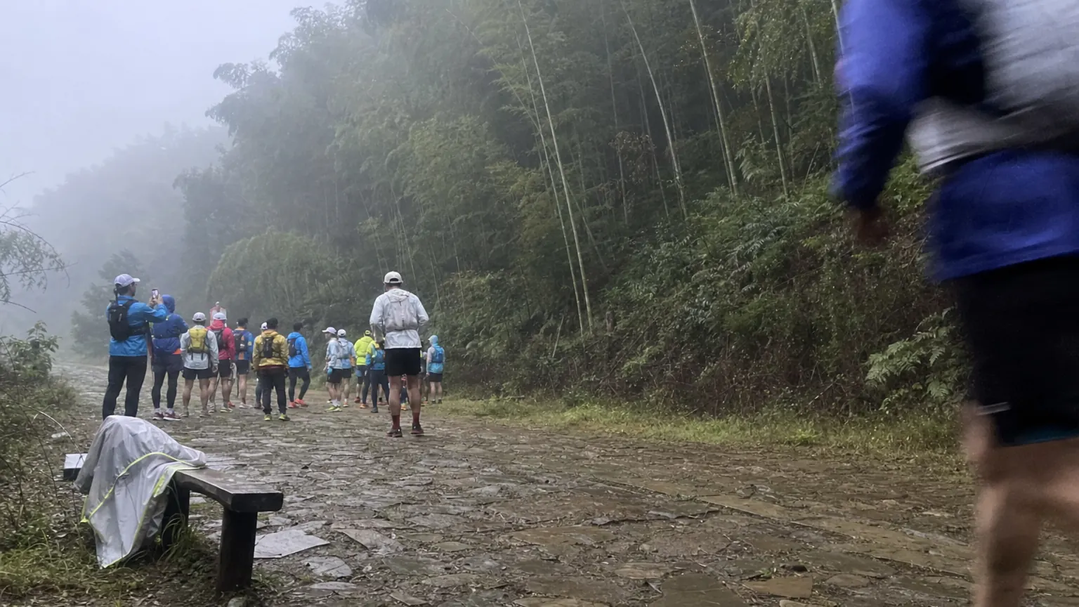 Trail runners seen from behind gathering beside a damp stone path at dawn, with bamboo and mist beyond the start area