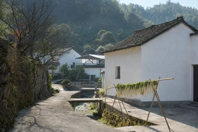 A quiet village lane below Moganshan, tiled roofs above a stone drainage channel