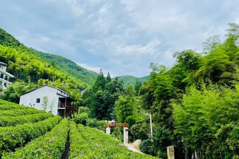 Moganshan Siyen Tea Garden Boutique Stay, listing photograph 1 of 3