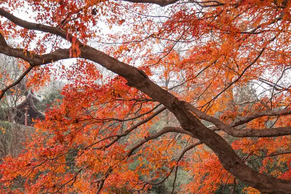 Wangshan Villa, listing photograph 1 of 3