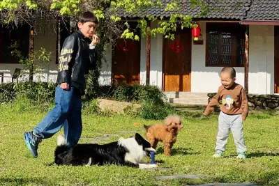Floral Hotel·Moganshan Natural House Pet Hotel, listing photograph 2 of 3